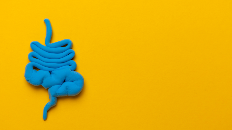 Emerging Treatments in Short Bowel Syndrome _ Eclipse Regenesis Blog Featured IMG Emerging Treatments in Short Bowel Syndrome _ Eclipse Regenesis Blog Featured IMG